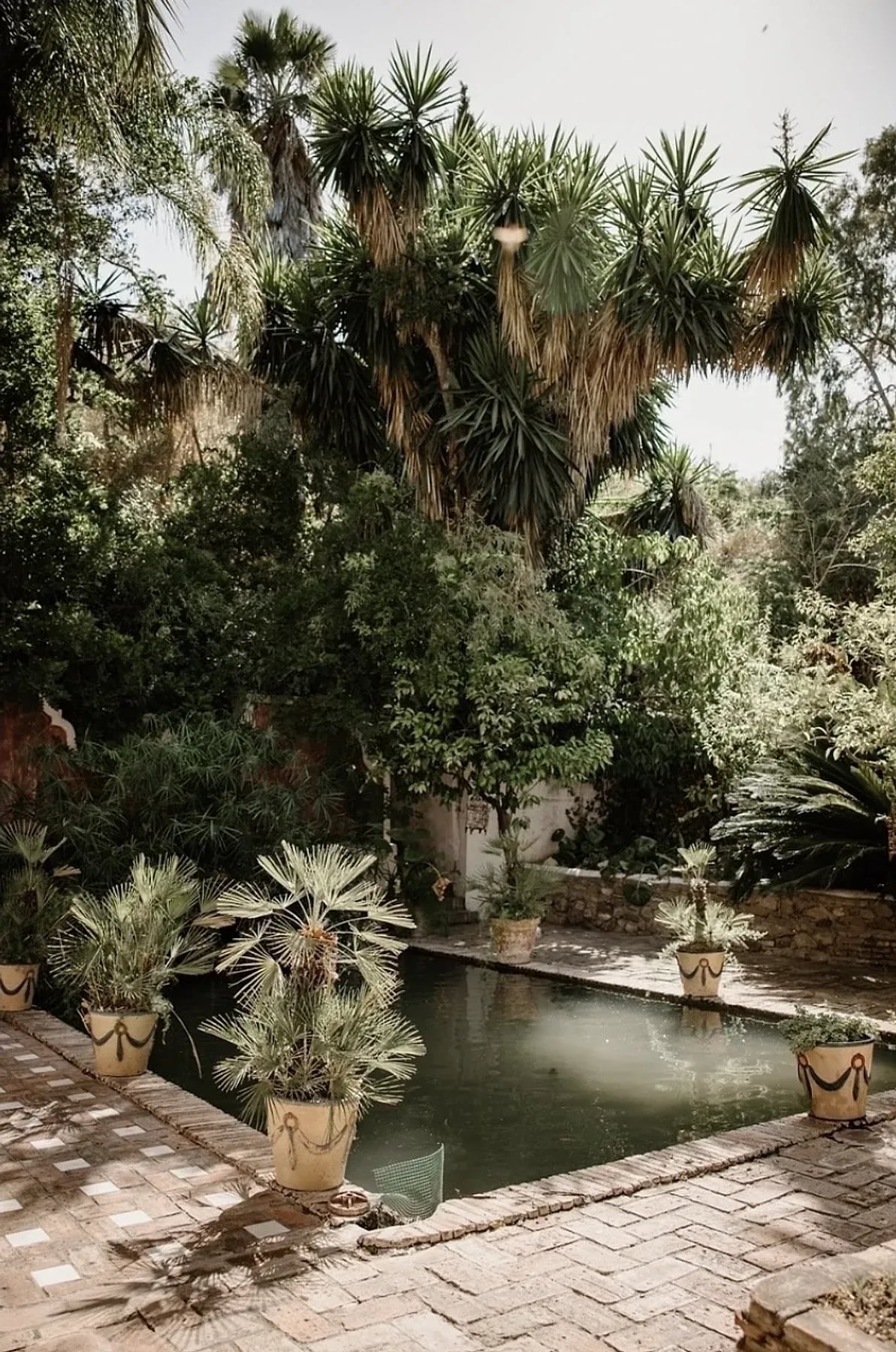 Estanque y jardín subtropical de la finca